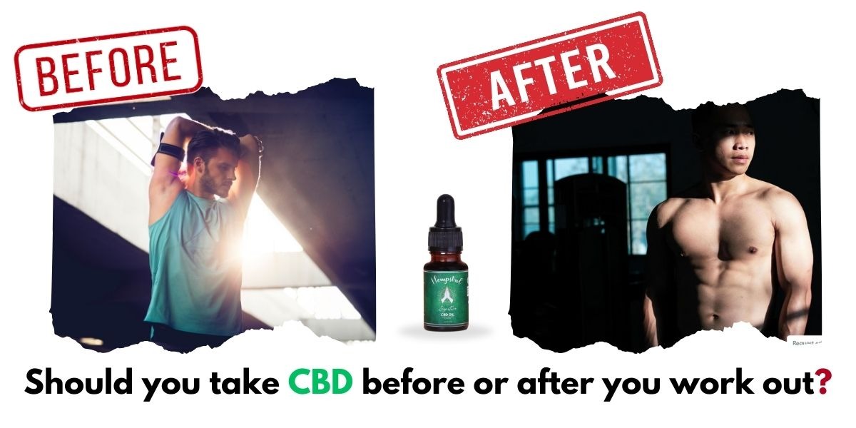 cbd oil online